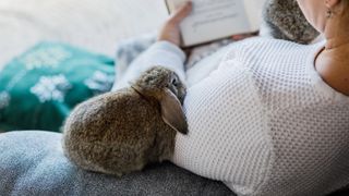 Woman reading with rabbit sat beside her