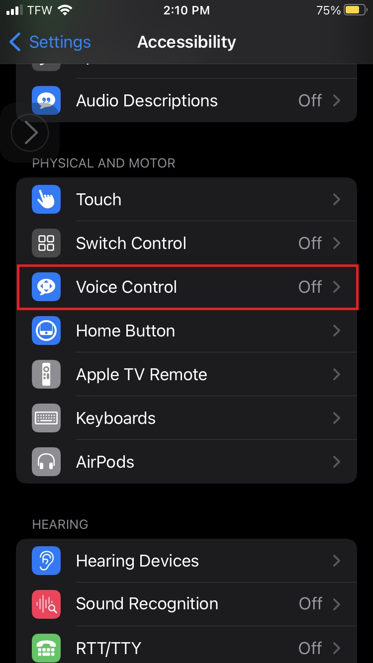Voice Control on iOS