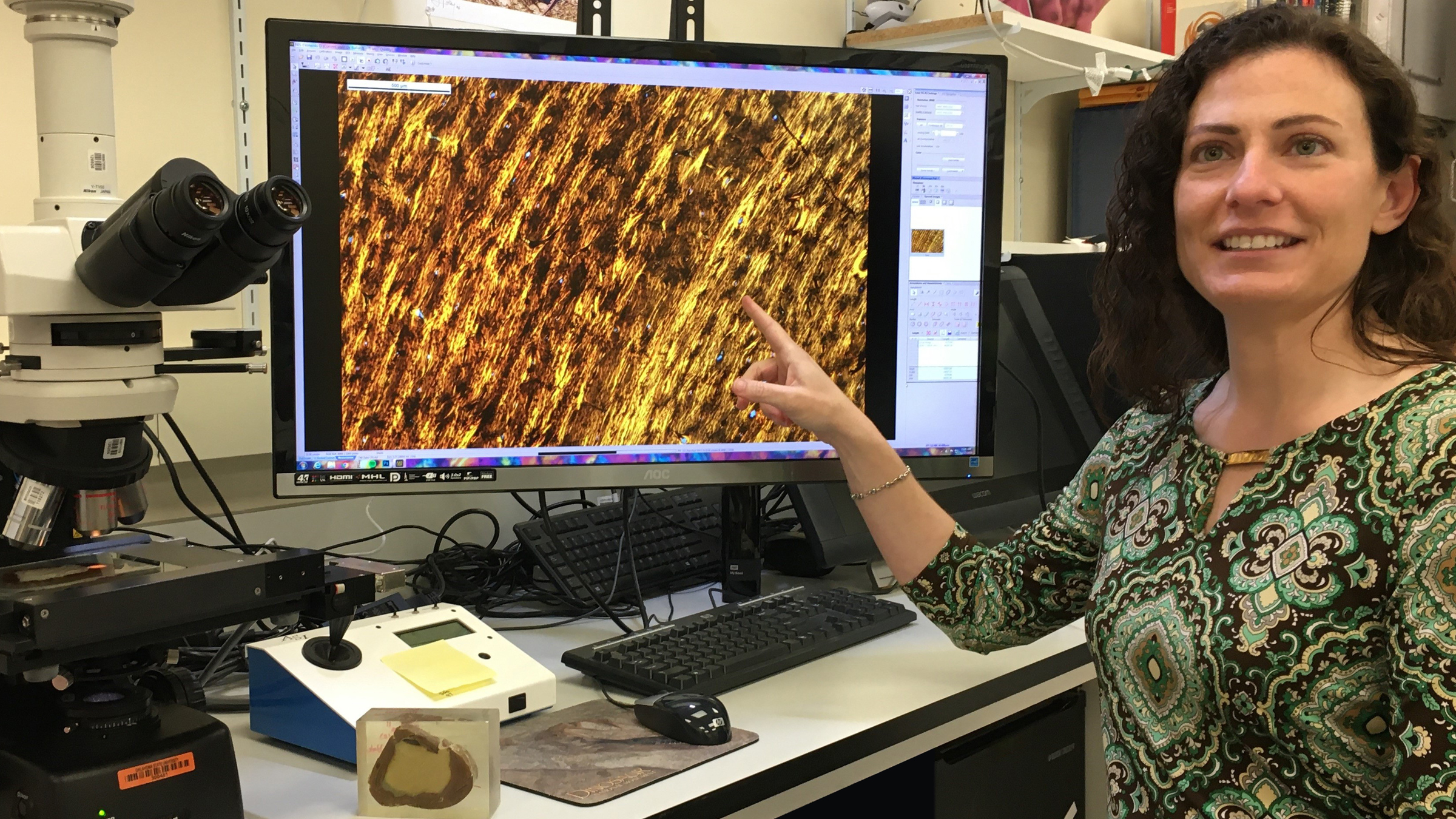 Paleontologist Holly Woodward says fossilized bone tissues show Jane and another dinosaur skeleton, nicknamed Petey, were T. rex teenagers and not a pygmy species.