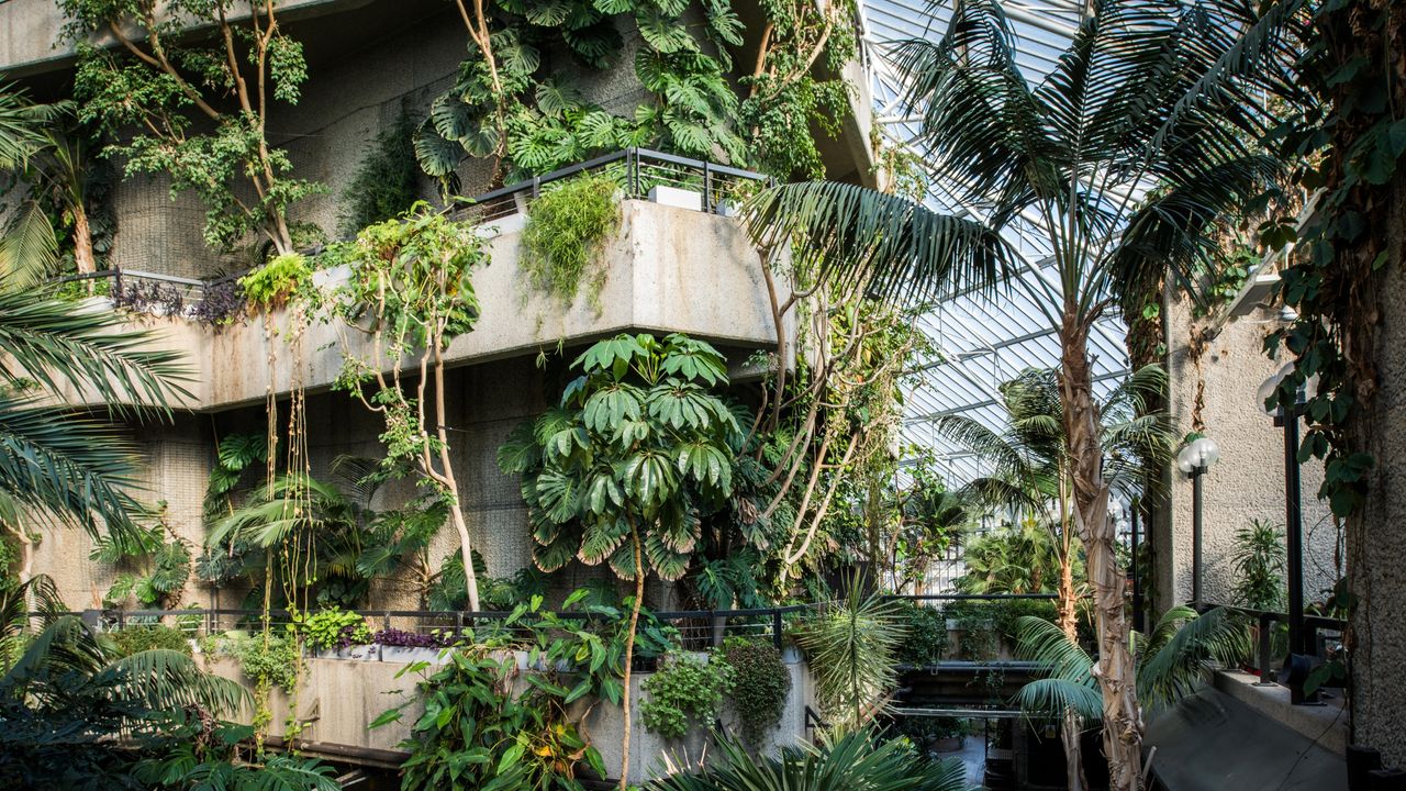 Image of a large brutalist conservatory. There is a building in the center that is completely covered in vines and plants. 