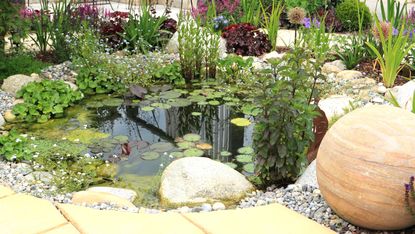 pond with pebble landscaping