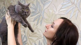 Fedya the startled looking cat being held up by his owner