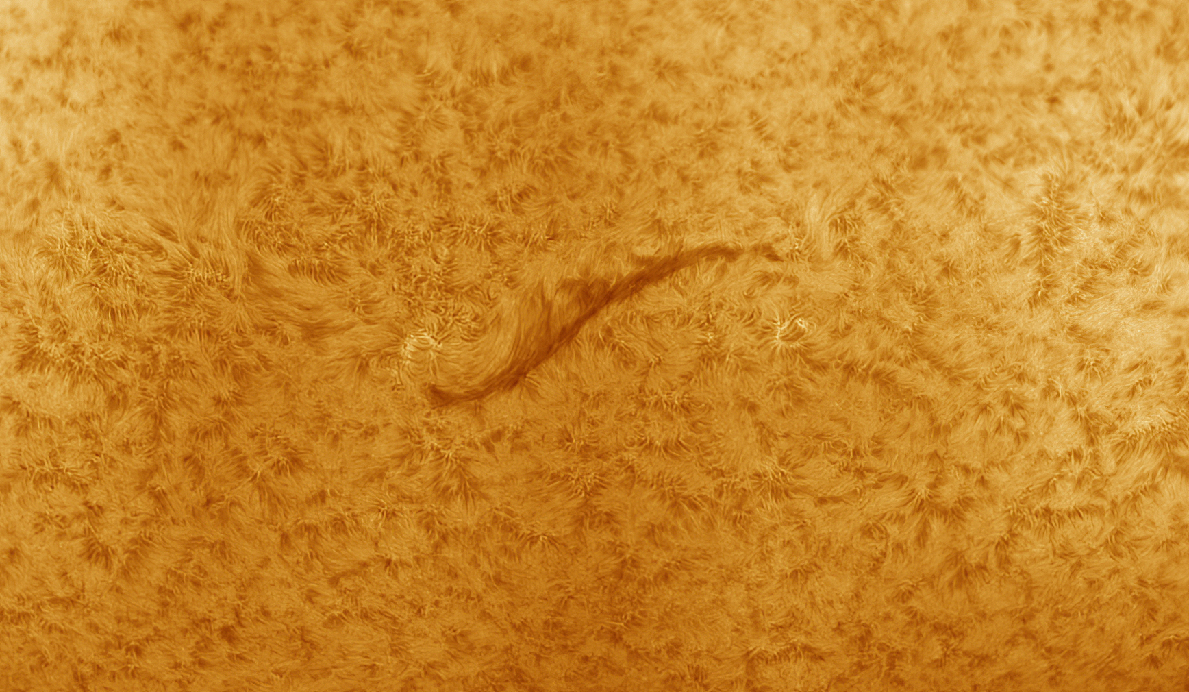 A large solar filament on the surface of the sun.