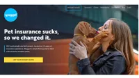 Best pet insurance: Waggel pet insurance