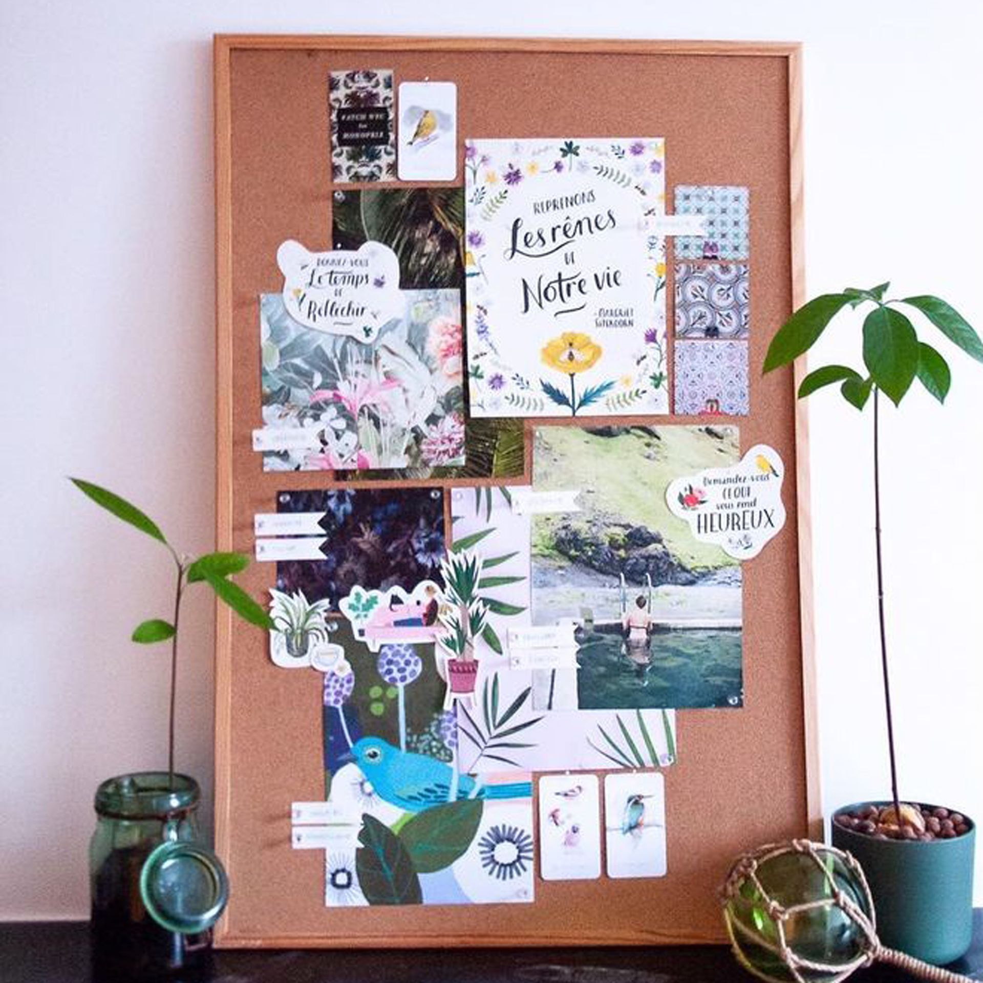 Visualisasi papan gabus dengan tanaman dalam ruangan