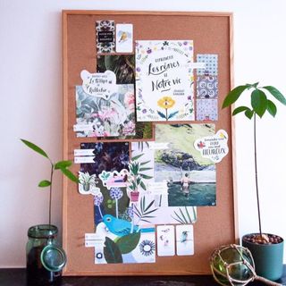 Visualization cork board with houseplants