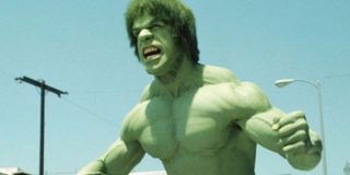 Lou Ferrigno as the Hulk on The Incredible Hulk