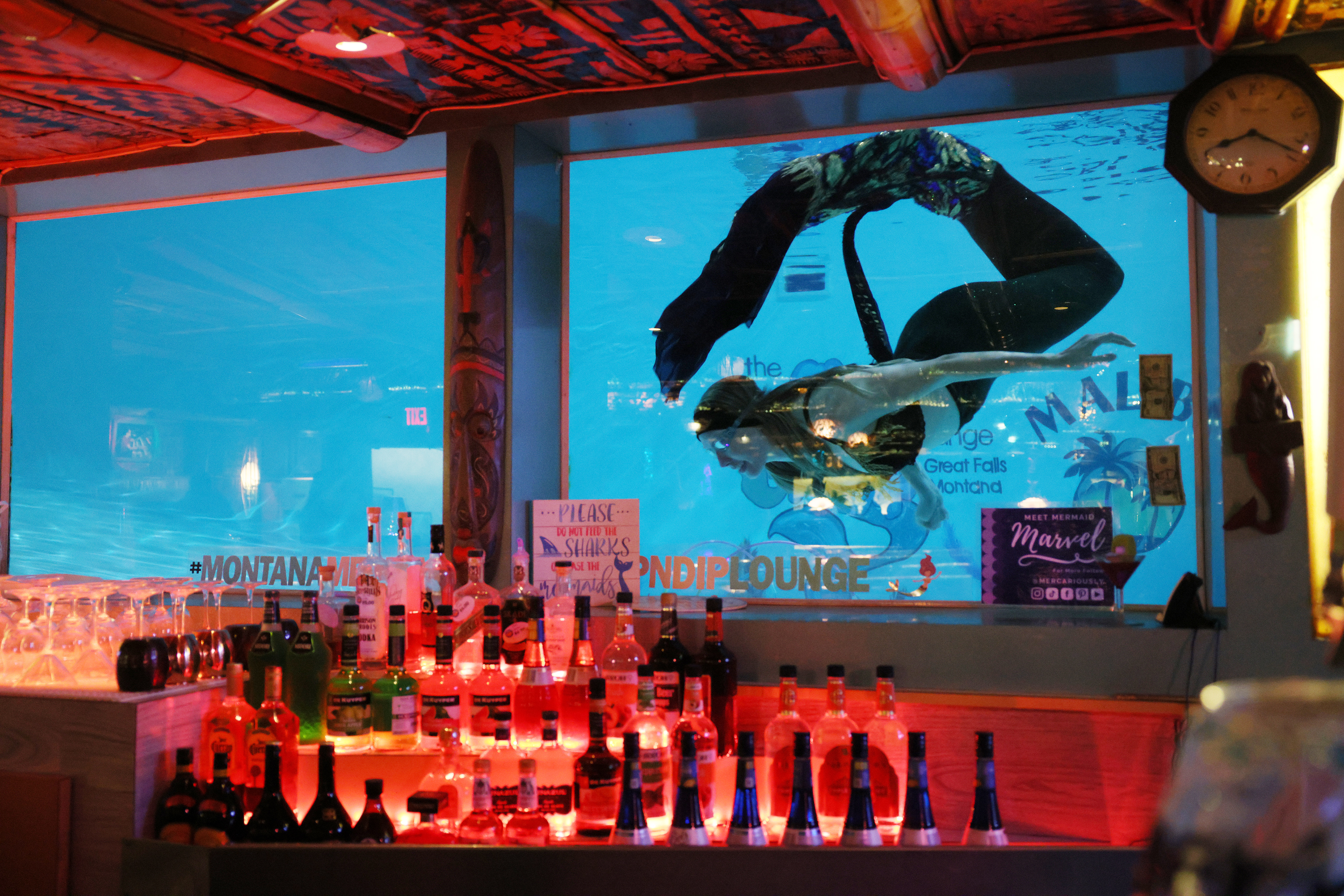 A woman dressed as a mermaid swims in front of a window at the Sip 'N Dip