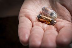 gut capsule