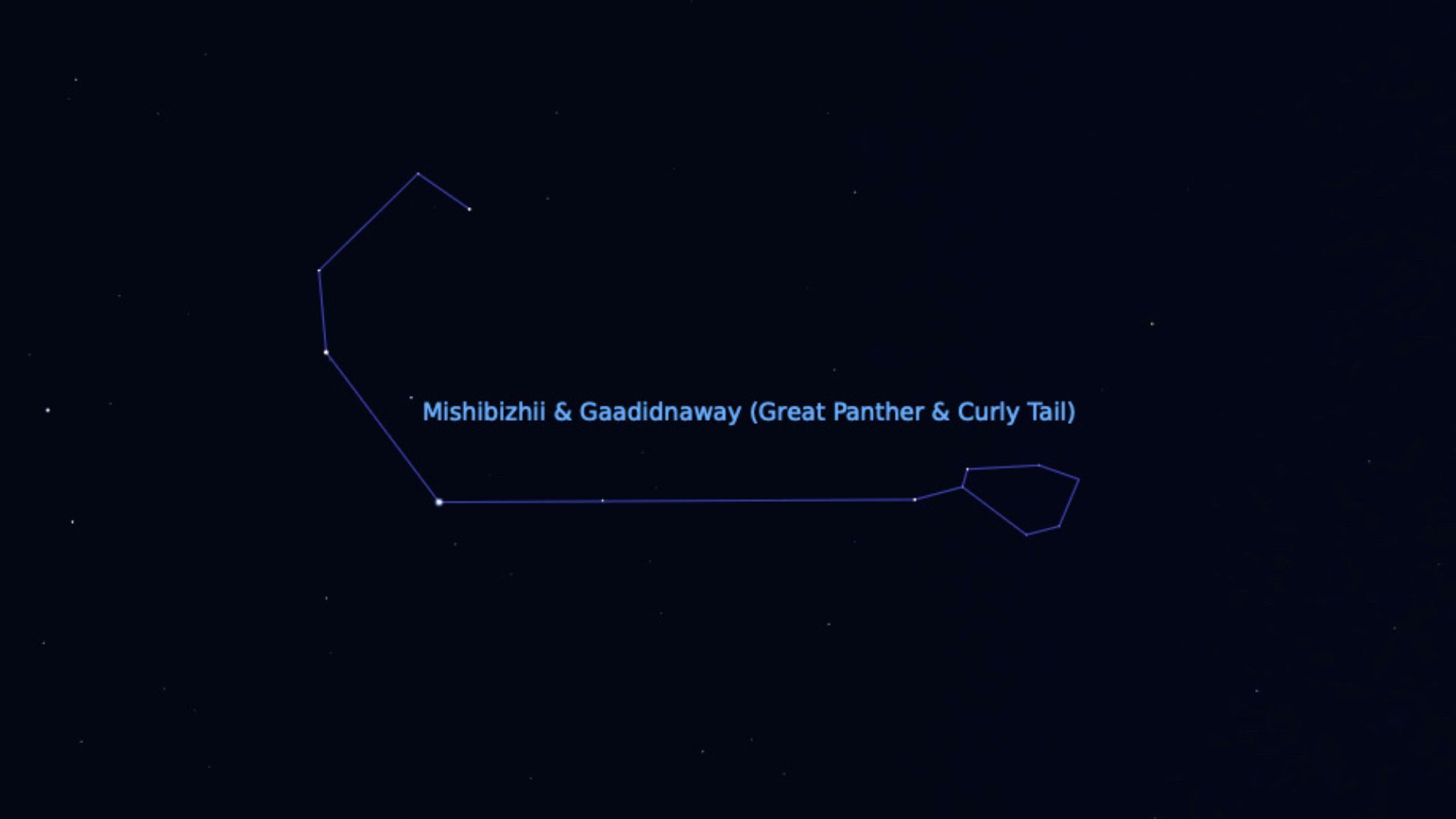 graphic illustration from Stellarium showing the Curly Tail in the night sky.
