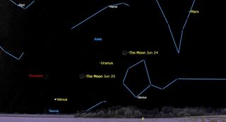 Graphic showing where the moon will be located in the night sky with respect to Uranus on both June 24 and June 25. 