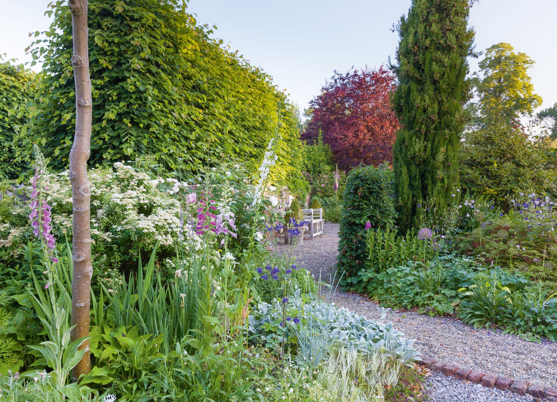 Tour this walled garden – filled with cottage garden plants | Homes ...