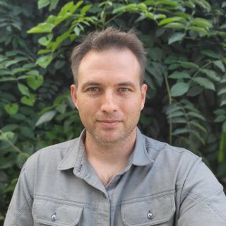 Samsung Galaxy Z Fold 3 camera samples