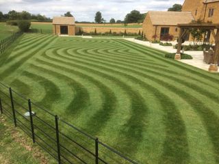 large lawn area with decorative pattern
