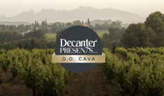 Screenshot-2025-12-18-at-12.16.51%E2%80%AFpm-620x363