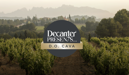 Screenshot-2025-12-18-at-12.16.51%E2%80%AFpm-620x363