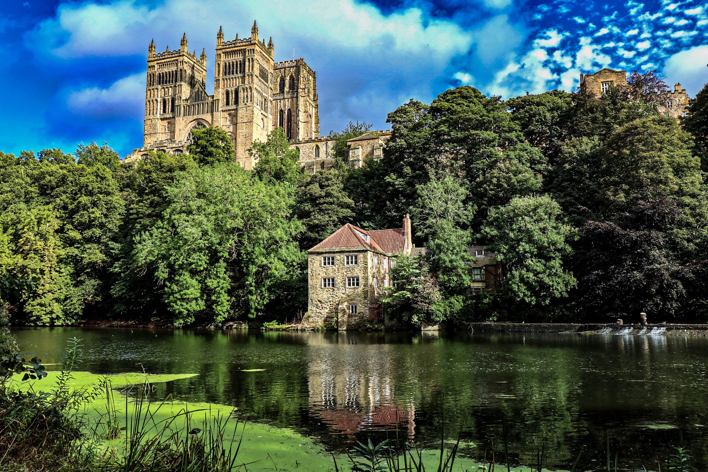 GuruShots - February 2026