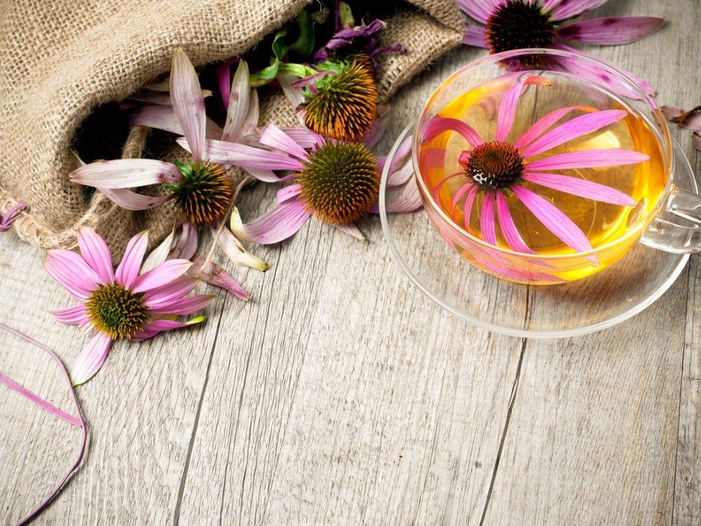 Flowers Around And In Cup Of Tea