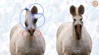 Two horses with distorted faces