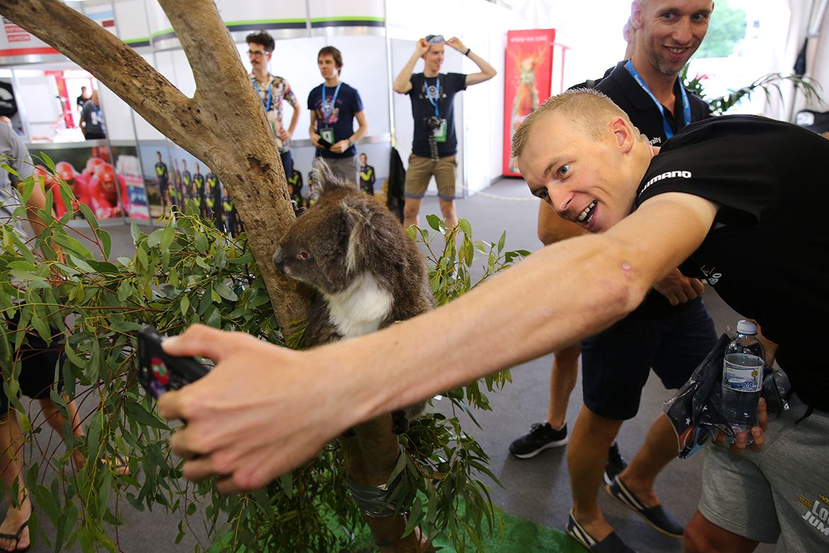 Robert Gesink takes a selfie with a koala
