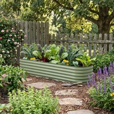 Raised bed in garden