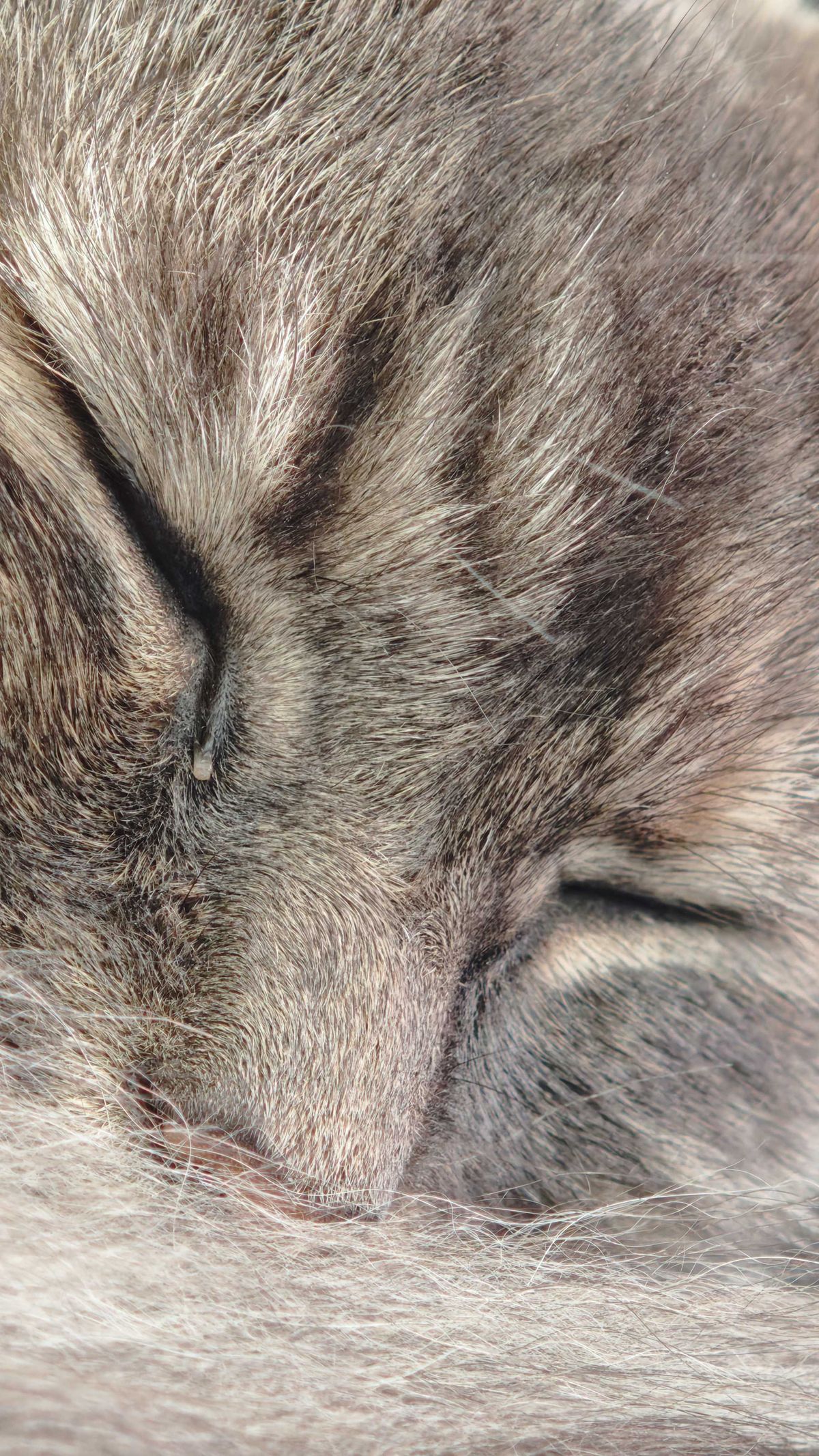 Photo taken with Xiaomi 15T Pro camera