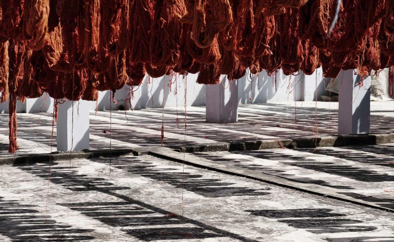 Wool yarns used in Ben Soleimani rugs, drying in the sun in India