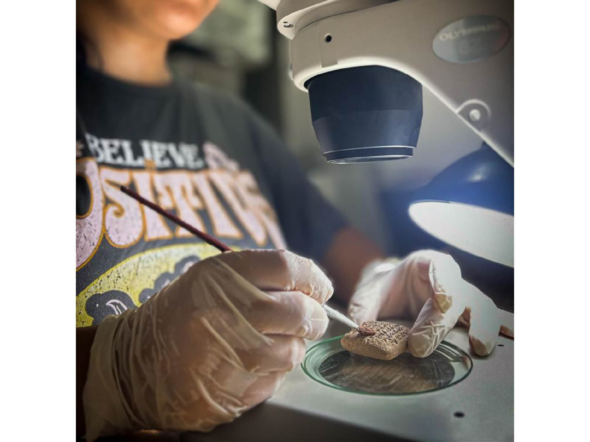 A scientist observing a cuneiform tablet under the microscope