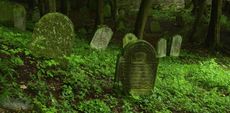 Jewish headstones in a graveyard.