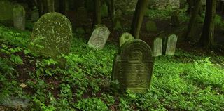 Jewish headstones in a graveyard.