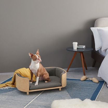 pet bed