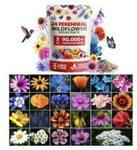 HOME GROWN Wildflower Seeds HOME GROWN Wildflower Seeds