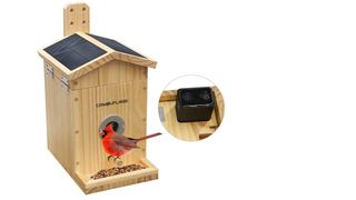 Camouflage EZ-NestEye bird nest box showing built-in camera and solar panels