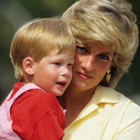 Princess Diana has bouffant blonde hair and cradles Prince Harry, who has bright red hair.