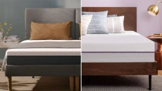Emma vs Purple Mattress comparison image shows the Emma Original memory foam mattress on the left and the Purple Original mattress on the right