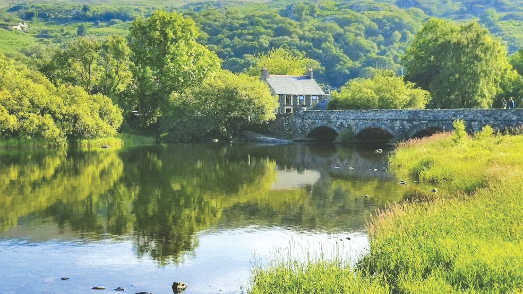 Gwynedd, Meillionen, Cwm-y-Glo