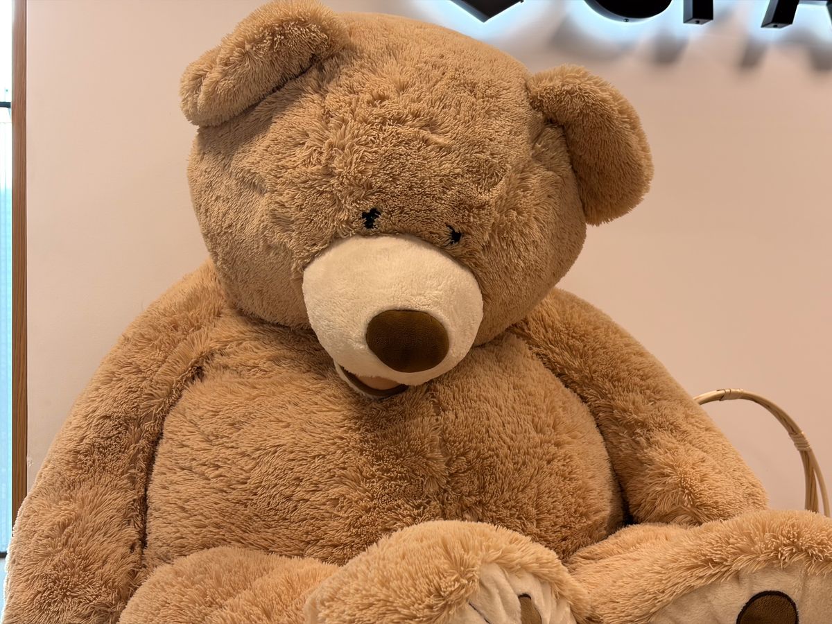 Camera sample captured on the Apple iPhone Air