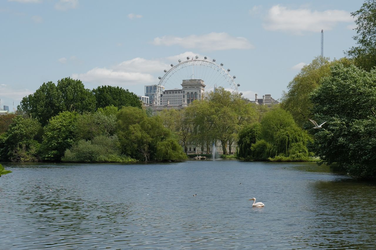 Hyde Park and London Eye shot on Leica Q3