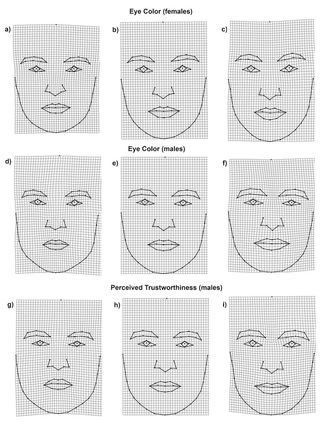 Researchers found links between eye color, face shape and perceived trustworthiness in men.