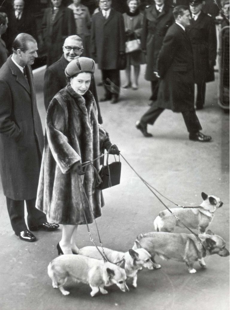 The Queen And Her Corgis