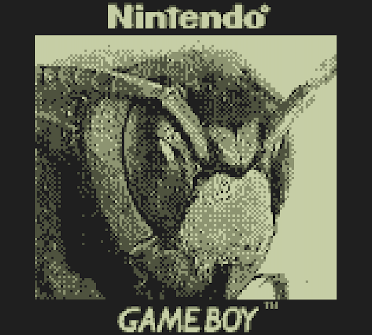 This Game Boy Camera can shoot photos of the moon
