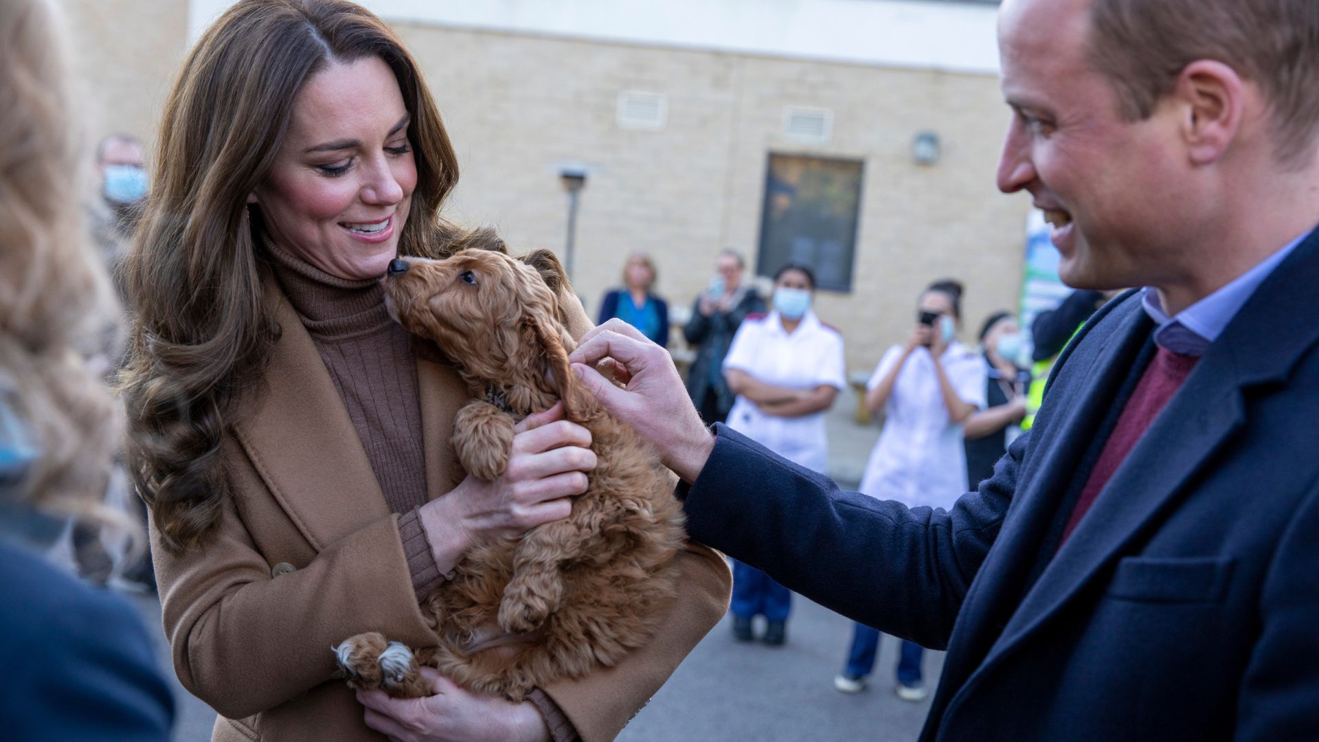Princess Kate and Prince William seen stroking a golden haired puppy