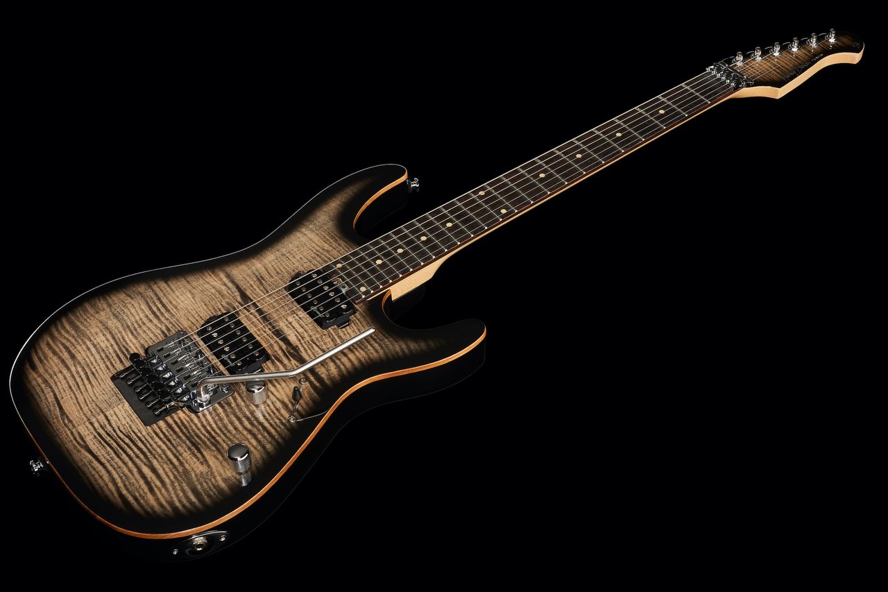 Harley Benton Fusion-III HH FR EB FCB