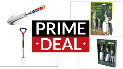 Spear & Jackson Prime Day deals