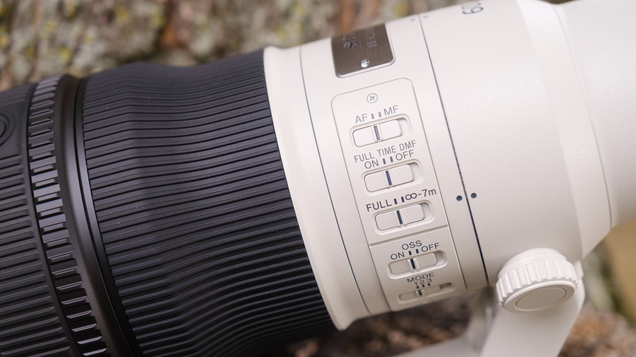 The Sony FE 600mm f/6.3 GM OSS photographed outdoors