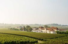Chateau Angelus wines, St-Emilion