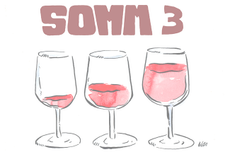 Somm 3