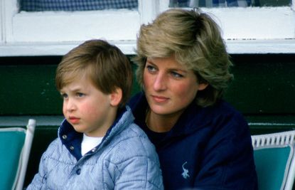 Diana, Princess Of Wales, With Prince William Sitting On Her Knee