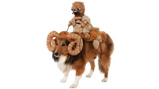 Star Wars Costume_Bantha Pet Costume for Dog