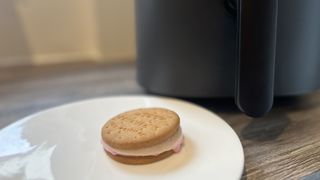 air fryer s'more on a plate in front of air fryer